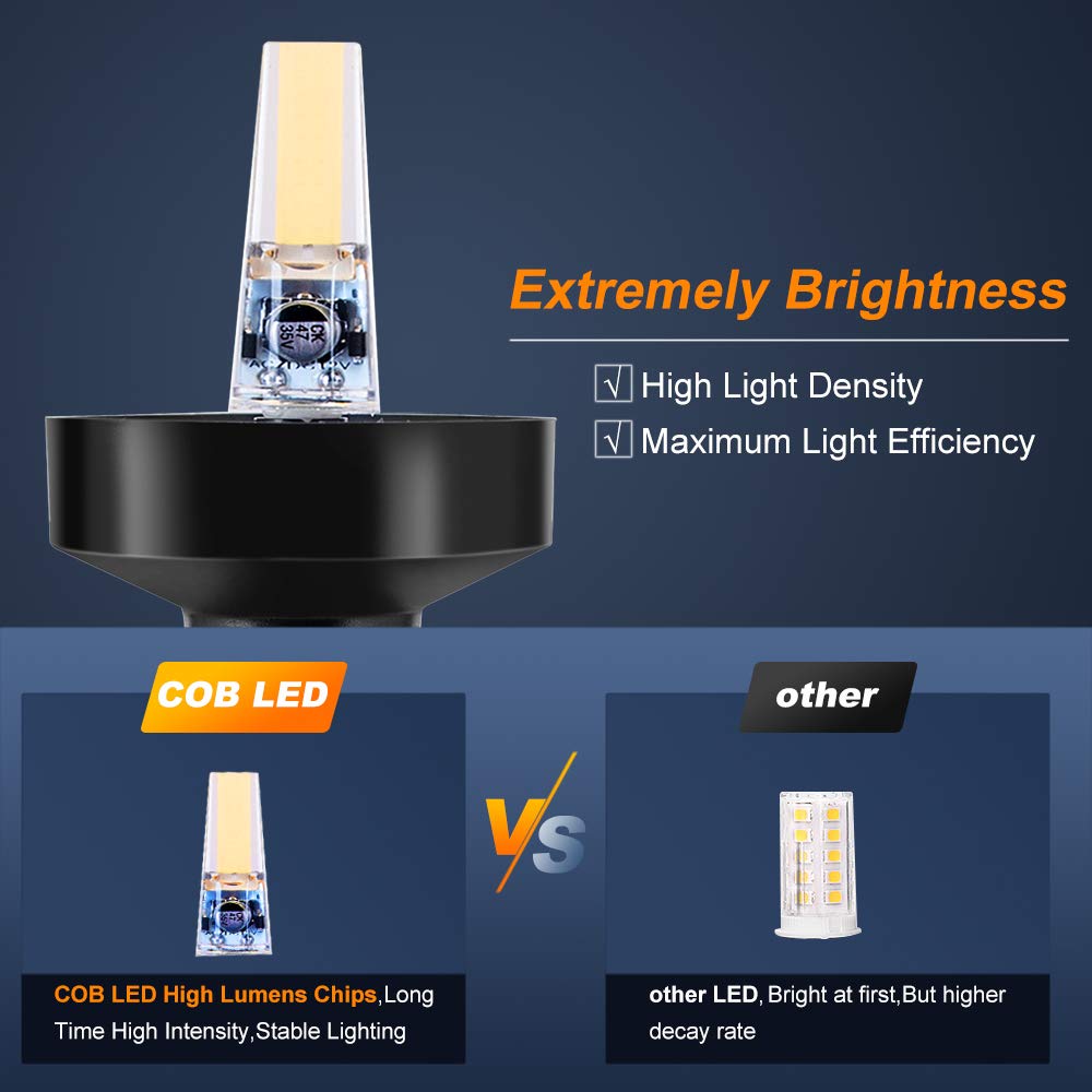 360 Degree White LED Fold Down - Fishing Boat Anchor บทวิจารณ์และราคา